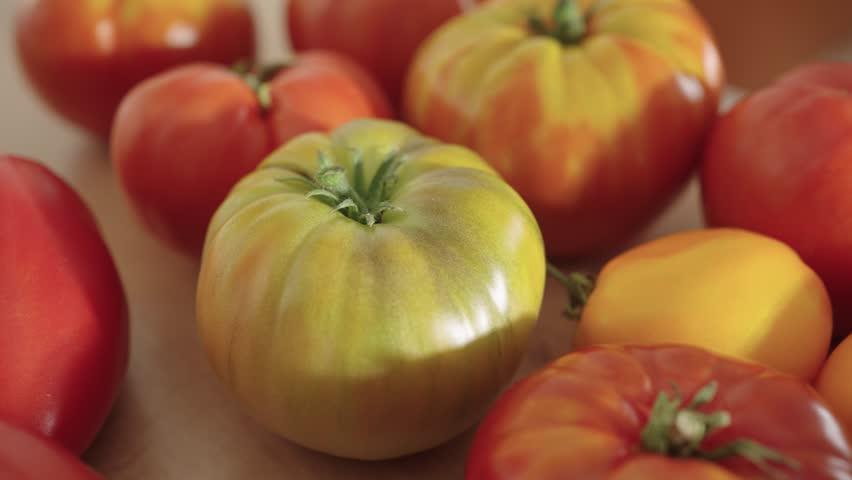 Multicolored tomatoes, ranging from deep red to vibrant yellow and green, slide across a table, showcasing the variety and richness of a farmer's market harvest