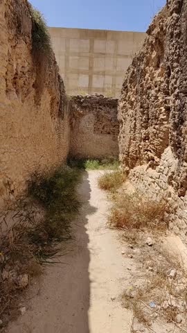 Serapeum of Alexandria, Pompey