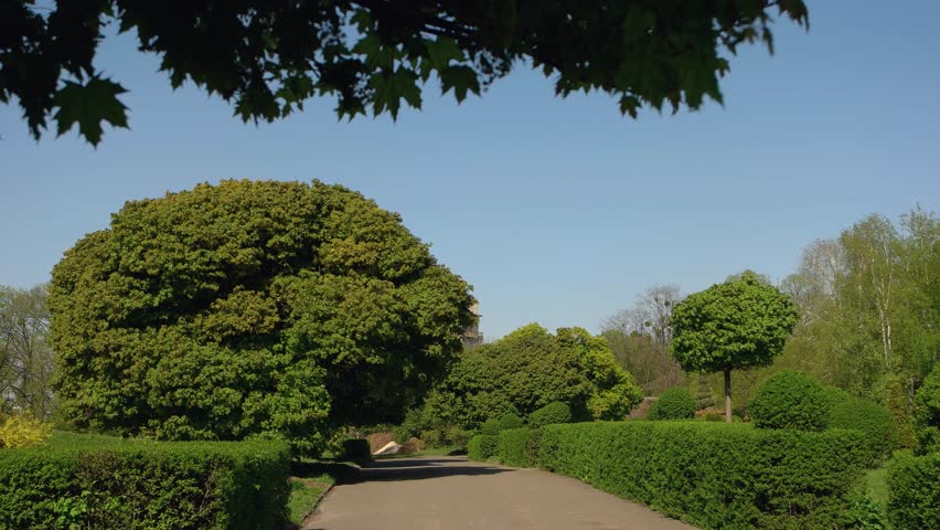 Empty park alley on a sunny spring day. Beautiful nature landscape. Clear blue sky in the background.