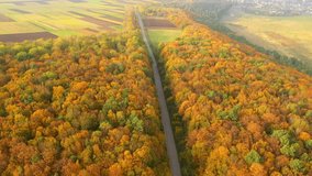 Magical autumn colors surround a winding road leading through a dense forest. Cinematic footage from a bird's eye view. Vacation concept by car. Filmed in UHD 4k. Discovery the beauty of world. - Powered by Shutterstock - Get 15% off with code: PIKWIZARD15