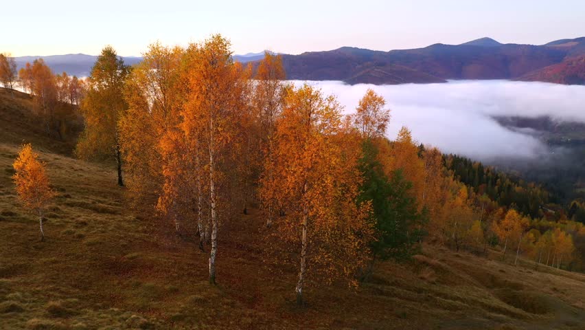 Autumn landscape with rich hues of changing leaves, early light floods mist-covered mountains at dawn, high angle view. Cinematic footage. Filmed in UHD 4k video. Discovery the beauty of earth.