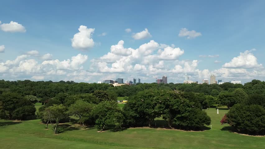 Aerial view of the Dix Park sunflowers field and Raleigh skyline