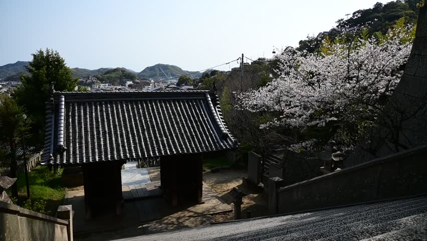 Cherry blossoms bloom at Misode Tenmangu Shrine in spring (Onomichi, Hiroshima, April, 2025)