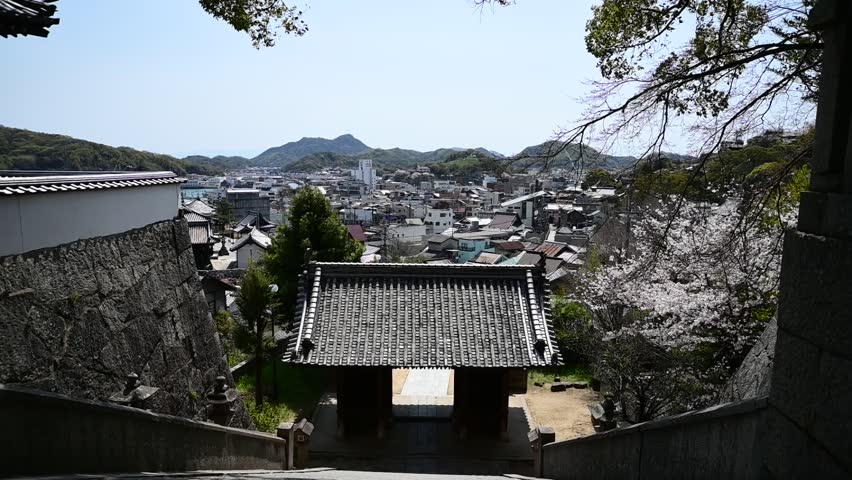 Cherry blossoms bloom at Misode Tenmangu Shrine in spring (Onomichi, Hiroshima, April, 2025)
