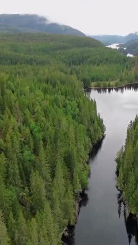 Aerial view to Liesjarvi national park, Finland. August 15, 2024 