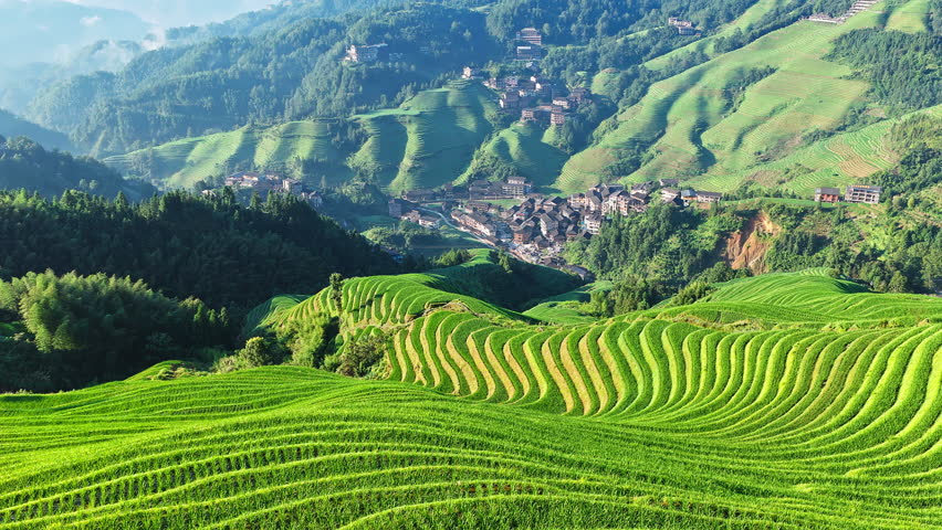 Aerial shot of the spectacular Longji Terraced Fields with traditional village in Guilin, Guangxi Province, China.