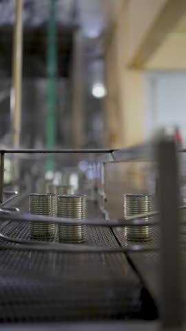 Line production of canned fish factory. Factory and machinery.