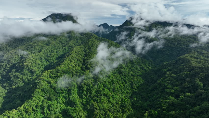 Aerial views through the clouds over the Kolombangara Rainforest in the Solomon Islands