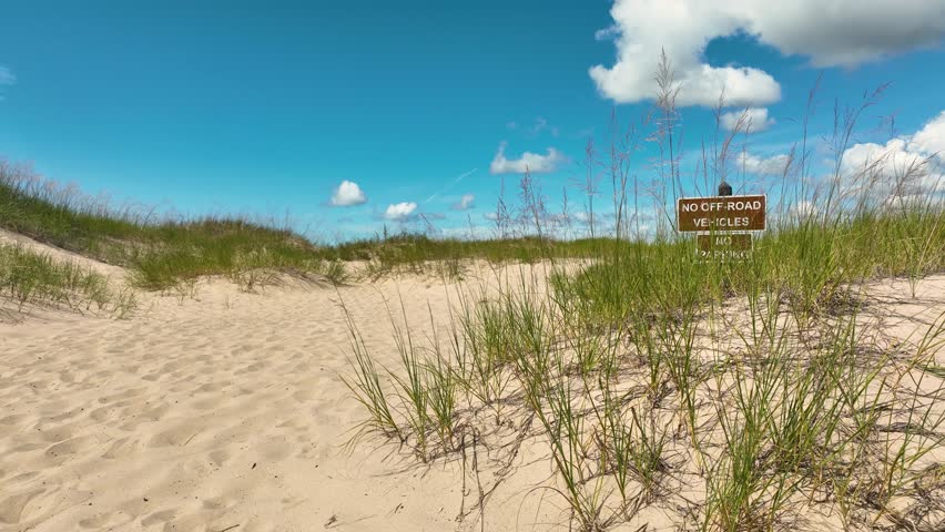 Rising from a view of dune grass to the shoreline of Lake Michigan.