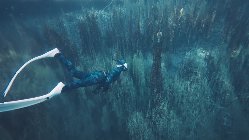Freediver dives in the karst lake. Woman freediver swims underwater in the crystal clear lake named Goluboye Ozero near the city of Samara, Russia