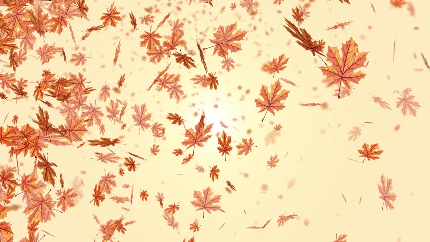 Shutterstock Video
