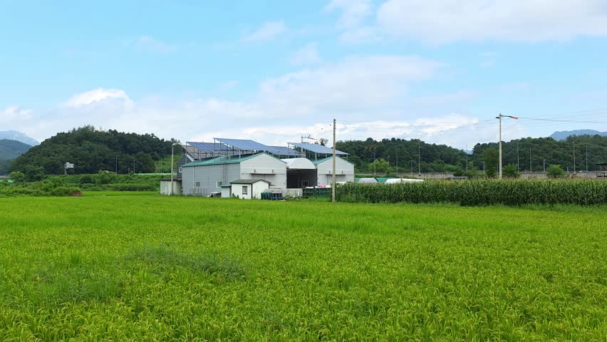 Eco-friendly agricultural facility features solar panels on the roof, surrounded by lush rice paddies and scenic hills