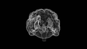 Digital Abstract Brain Wireframe Visualization on Black Background	
 - Powered by Shutterstock - Get 15% off with code: PIKWIZARD15
