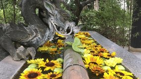 Sunflowers in temple, sacred pond, dragon statue, serene atmosphere, peaceful scenery - Powered by Shutterstock - Get 15% off with code: PIKWIZARD15