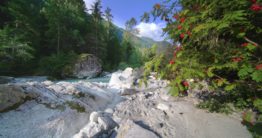 Sarca torrent of Pinzolo in the Genoa valley