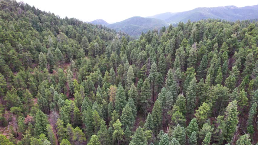This is an aerial video of mountains and forest in Colorado