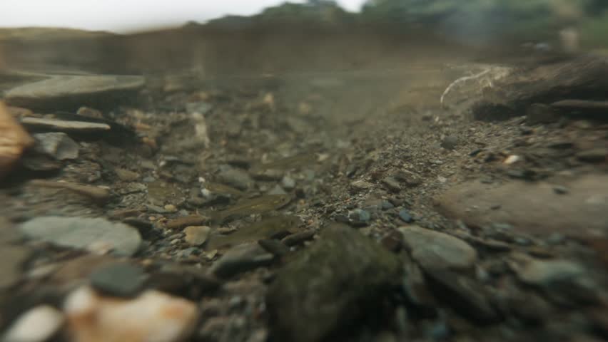 Underwater view of riverbed showing rocks, pebbles, and soft current pushing debris gently as fish swim upstream