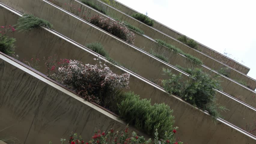 Balconies full of green plants