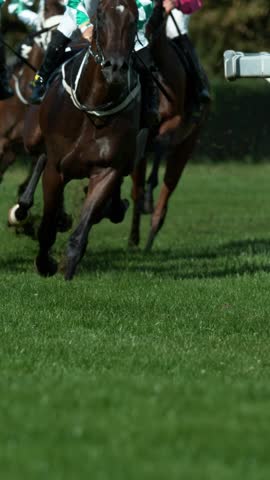 Racehorses in a line gallop up to the Winning Line together, super slow motion