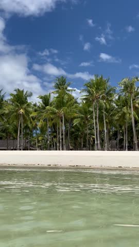 Tropical Paradise Beach with Palm Trees in Bohol, Philippines