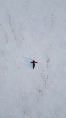 4K Aerial shot of salt flats at rann of Kutch during sunrise. White desert of Kutch in Gujarat, India. Aerial view over the expansive salt marsh of The Great Rann of Kutch. Tranquil Nature landscape.