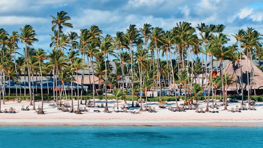 Resort large Caribbean tropical sand beach with palm trees. Blue turquoise sea and white sand against the background of green palm trees. Beautiful beaches of the Dominican Republic.