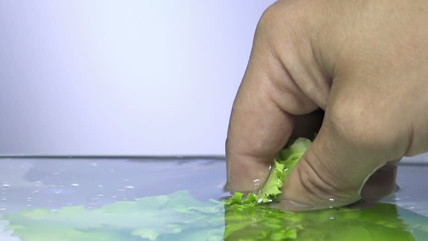 Fresh lettuce salad falls under water with a splash.