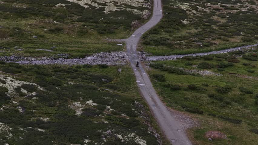 An aerial footage of a lone hiker walks a winding trail through green hills and rocky streams in Rondane National Park, Norway