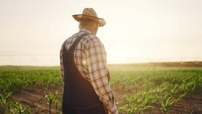 Start of new day in rural area old farmer admiring sunrise above farmland. Elderly male person strolling in beautiful agricultural fields in summer, cinematic slow motion, back view, enjoy simple life - Powered by Shutterstock - Get 15% off with code: PIKWIZARD15