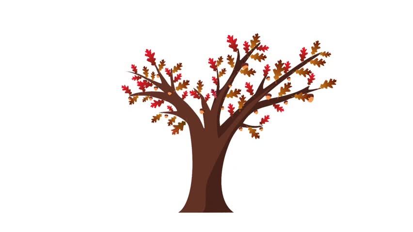Animated oak tree with acorns and autumn foliage, cozy seasonal motion video footage