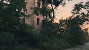Abandoned Industrial Building with Broken Windows | Overgrown with Greenery at Sunset | Dilapidated Urban Structure in Evening Light - Powered by Shutterstock - Get 15% off with code: PIKWIZARD15