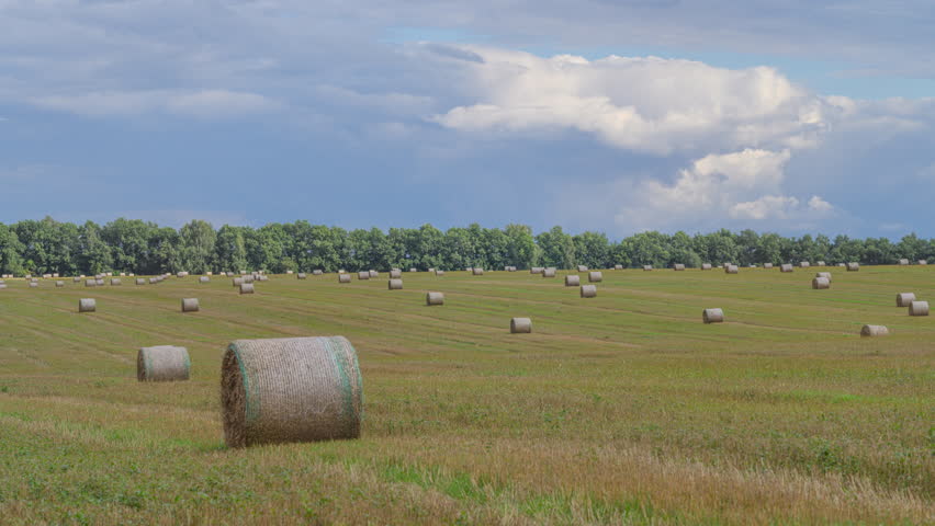 Scenic View of Hay Bales Resting in a Lush, Vibrant Green Field Under a Cloudy Sky