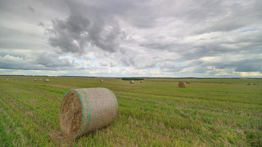Beautiful Rolls of Hay Spread Across a Serene Landscape Under a Moody Cloudy Sky