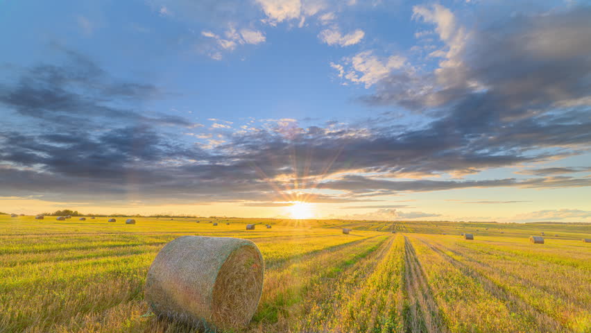 A Beautiful Golden Sunset Spreading Across the Rolling Fields That Are Adorned with Hay Bales