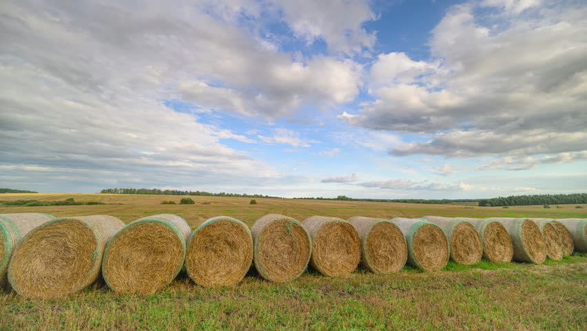 A Serene and Picturesque Rural Landscape Featuring Hay Bales Set Beneath a Bright Blue Sky