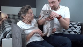 Grandson visits grandmother in nursing home, gifting her a kitten for companionship. Pet therapy brings comfort, support, and joy to seniors with dementia, easing loneliness through animal care. - Powered by Shutterstock - Get 15% off with code: PIKWIZARD15