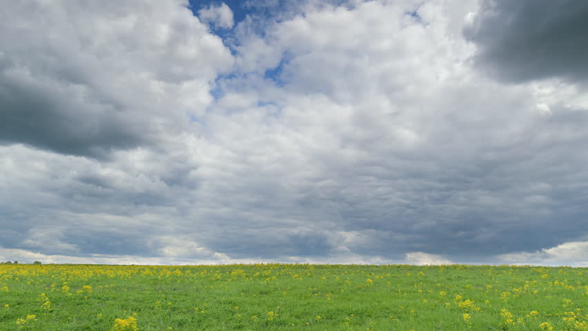 A Beautiful Scenic Cloudy Sky Over Lush Green Fields Filled with Colorful Wildflowers Time lapse.