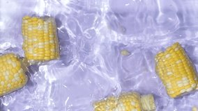Fresh ears of corn falling into water splash in water top view slow motion. - Powered by Shutterstock - Get 15% off with code: PIKWIZARD15
