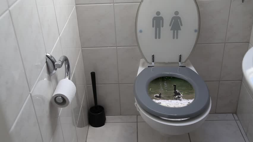 Environmental toilet
