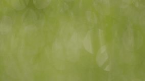 Dew on blades of grass depth of field zoom - Powered by Shutterstock - Get 15% off with code: PIKWIZARD15