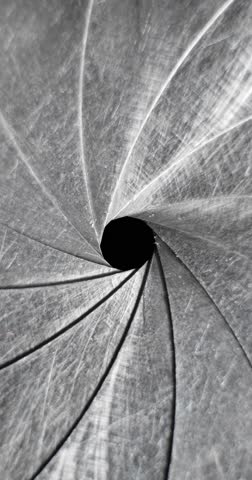 Circular blades of a mechanical iris create a precision opening controlling amount of light entering a camera lens with the opening mechanism controlling the aperture and the depth of field in focus.