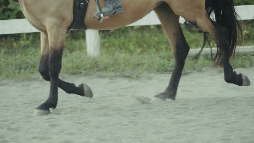 Buckskin Horse Legs Cantering In The Dusty Equestrian Facility. - slow motion shot