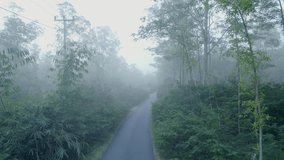 Aerial drone view of a narrow asphalt road surrounded by lush green forest in the morning mist. The fog creates a mysterious and tranquil atmosphere, perfect for nature and travel themes. - Powered by Shutterstock - Get 15% off with code: PIKWIZARD15