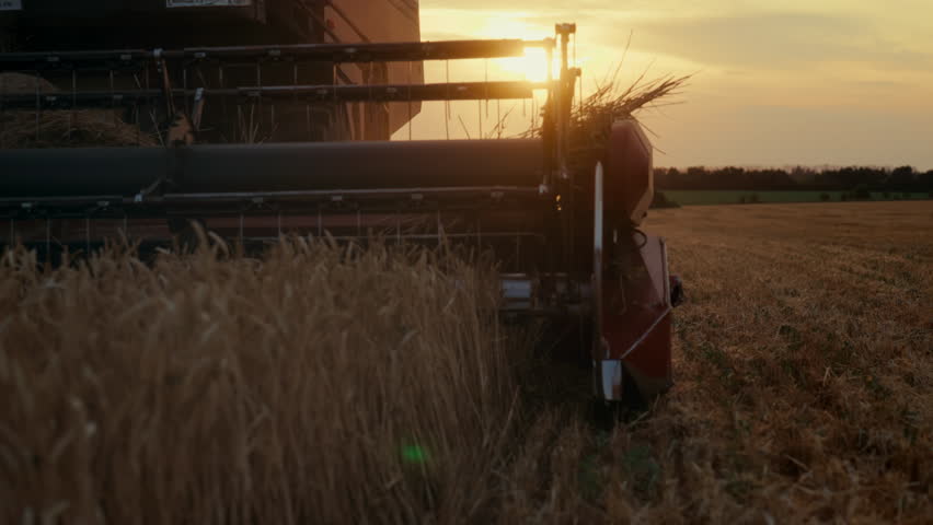 Cinematic slow motion shot with harvesting machine in fields, crop picking. Modern and traditional agricultural technology in agribusiness, harvesting ripe rye and wheat ears, closeup view of blade