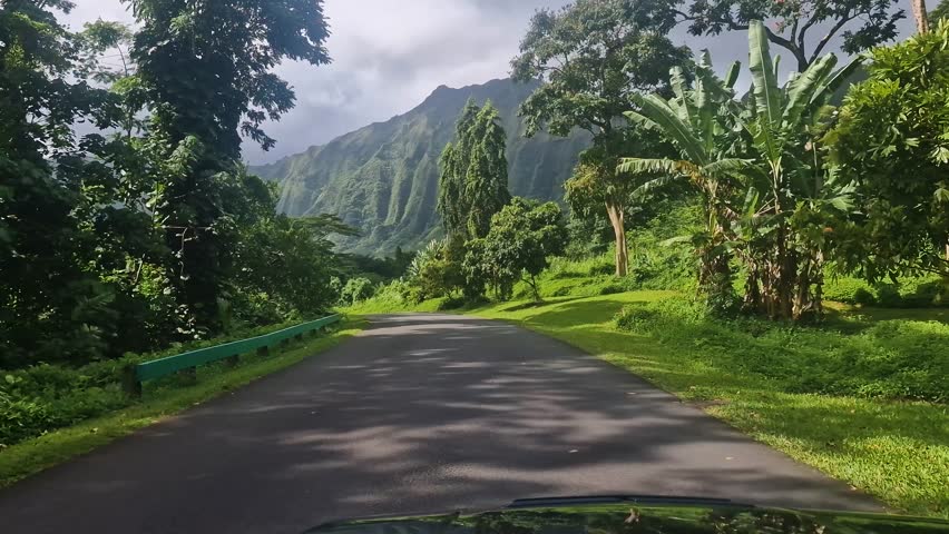 Hoomaluhia Botanical Garden, Oahu Island, Hawaii USA. Driving on Road With Picturesque Landscape