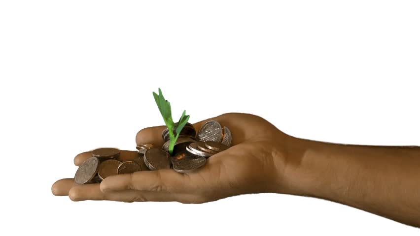 A seedling growing from a hand with money/coins 