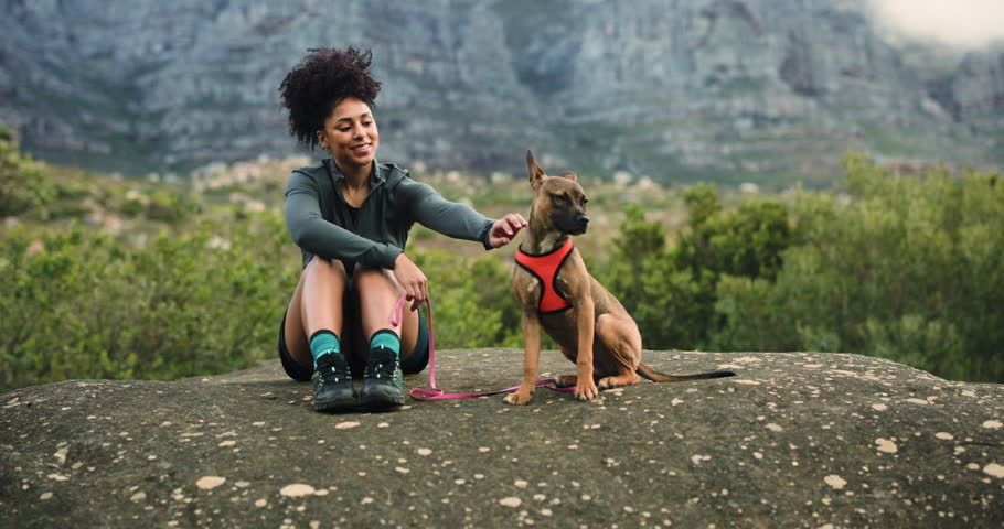 Hiking, relax and woman with dog, nature and fitness with best friend, environment or petting. Adventure, hiker or person with domestic animal, bonding together or countryside with break in Indonesia