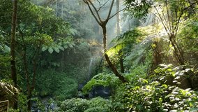 Peaceful waterfall in tropical forest with bright sunbeams creating a magical atmosphere. - Powered by Shutterstock - Get 15% off with code: PIKWIZARD15