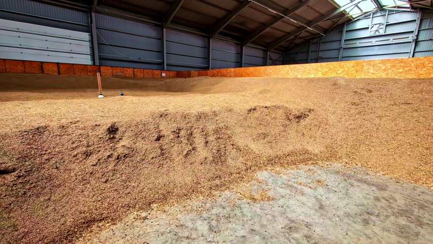 Pan shot of Grain storage in Latvia. Harvestation.
