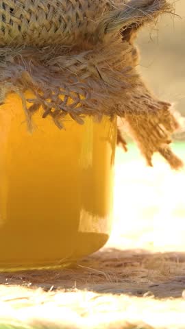 Apiary. Bees collect honey in honeycombs. The product of bees' vital activity is honey. Vertical video.